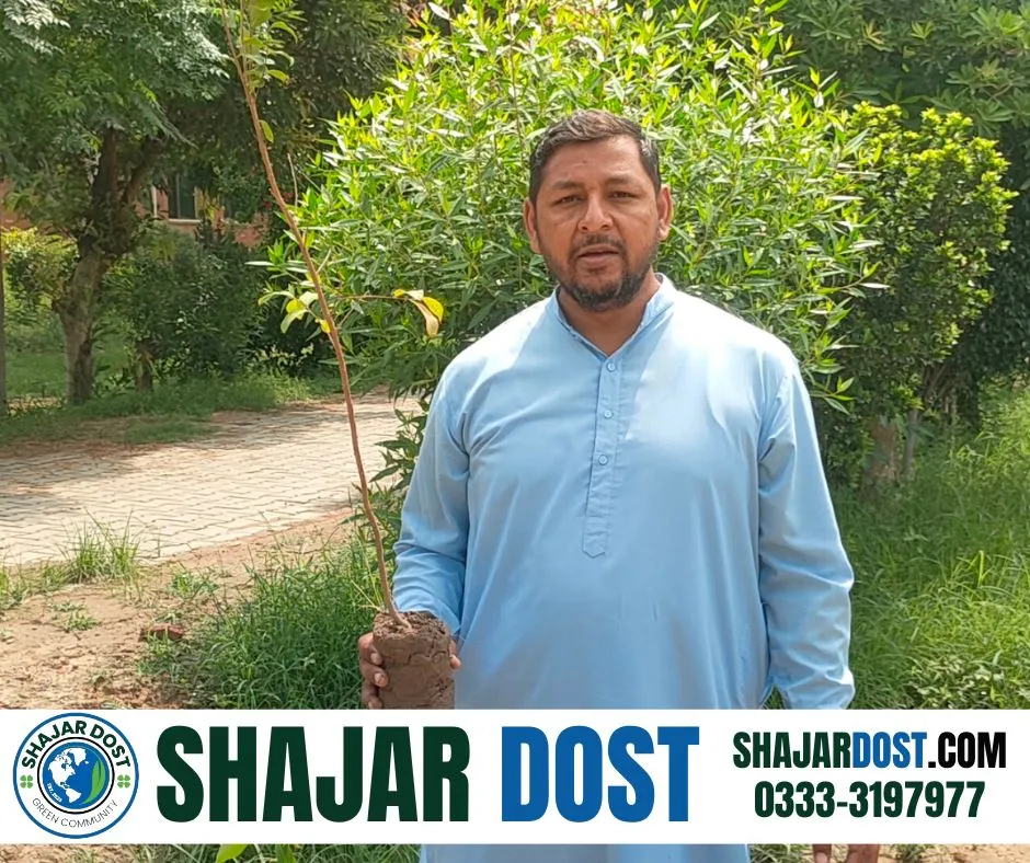 Green Seekers Activity